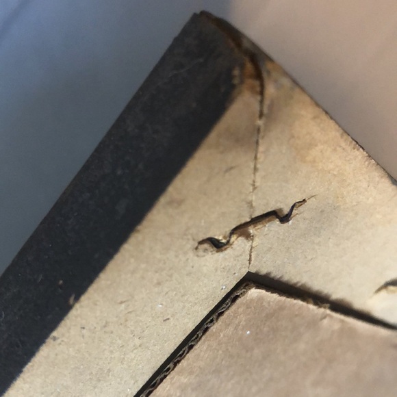 First Kiss by William Adolphe Bougeareau matted & ornate wood frame; 22” x 20” - Picture 7 of 11